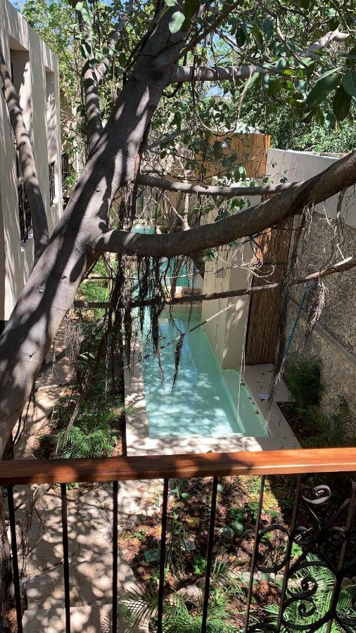 Treehouse Boutique Hotel, An Adults Only Boutique Hotel Merida Bagian luar foto